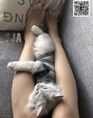 降灵记