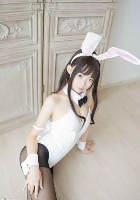 综艺免费观看